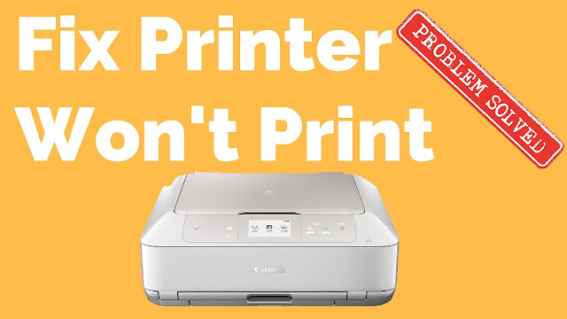 How To Fix My Canon Printer Won't Print Issue? 