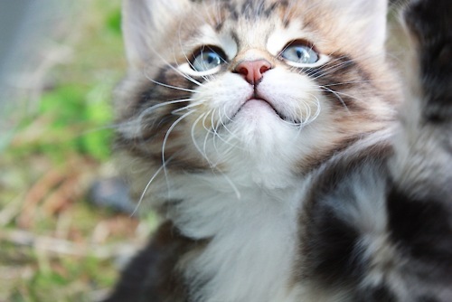 ` they are really very cUte ` | Pretty Girl