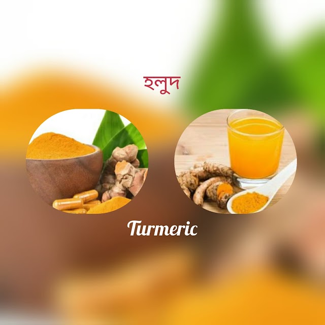   হলুদ / Turmeric