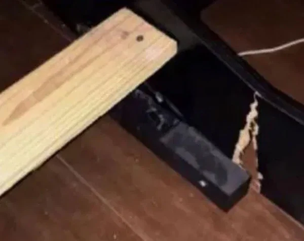 Mom takes daughter to court for breaking her bed during, Sidney, News, Humor, Court, World, Complaint