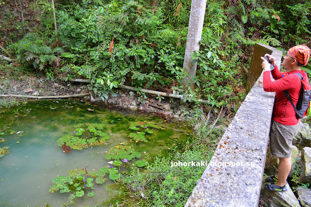 Trekking at Hutan Lipur Gunung Pulai Recreational Forest in Johor Malaysia Hutan-Lipur-Gunung-Pulai-Recreational-Forest-Johor-Malaysia