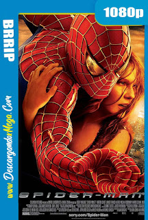 El Hombre Araña 2 (2004) HD 1080p Latino