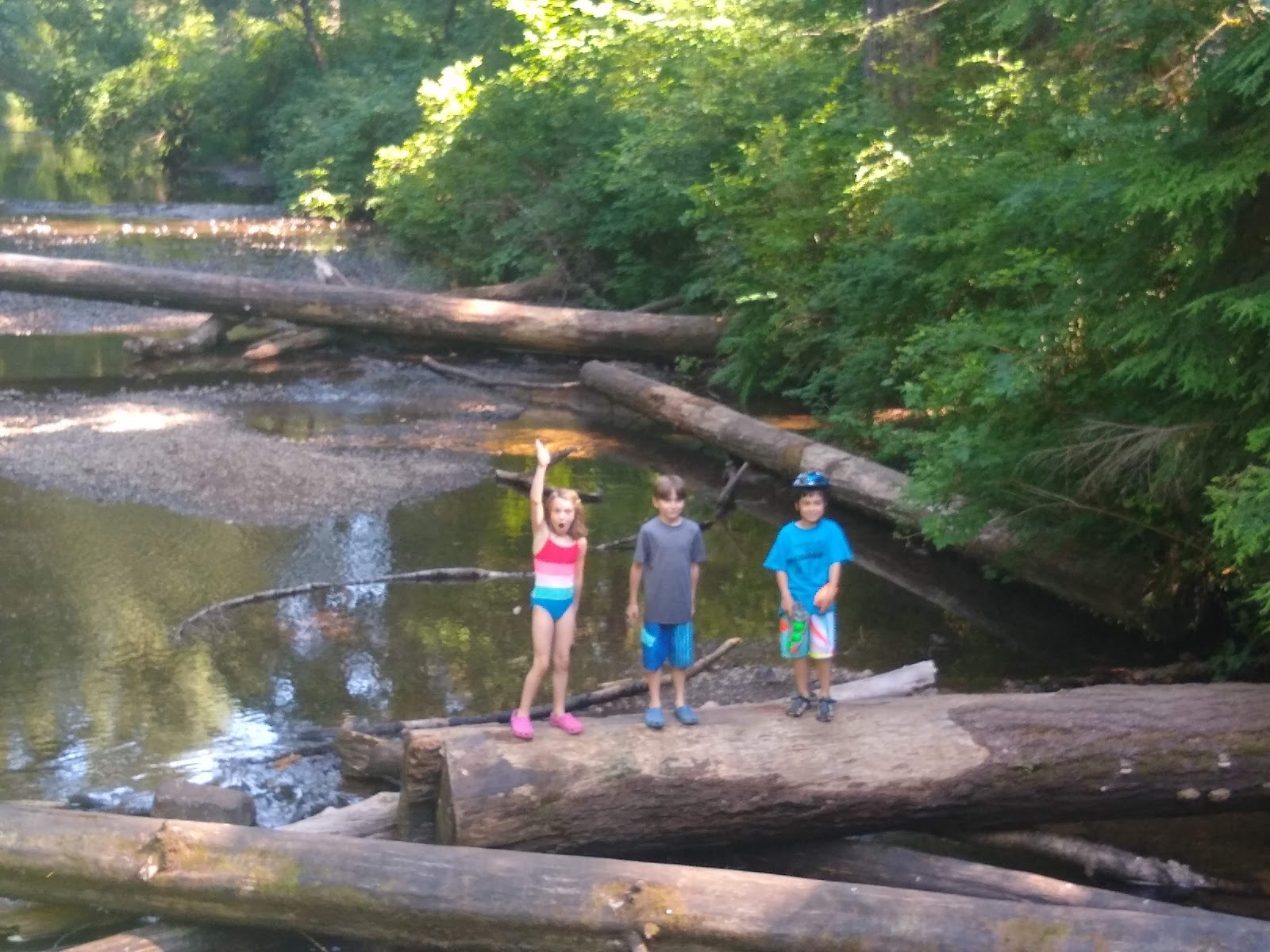 Good Times And Chaos Silver Falls Cabin Camping