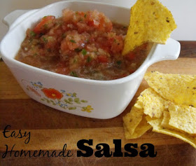 Fresh Ingredient Homemade salsa