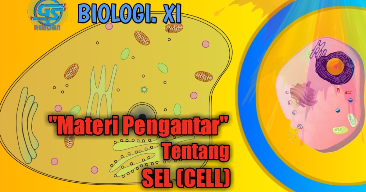 Materi Pengantar Tentang Sel Cell Biologi Kelas 11 Gen Sukses Media