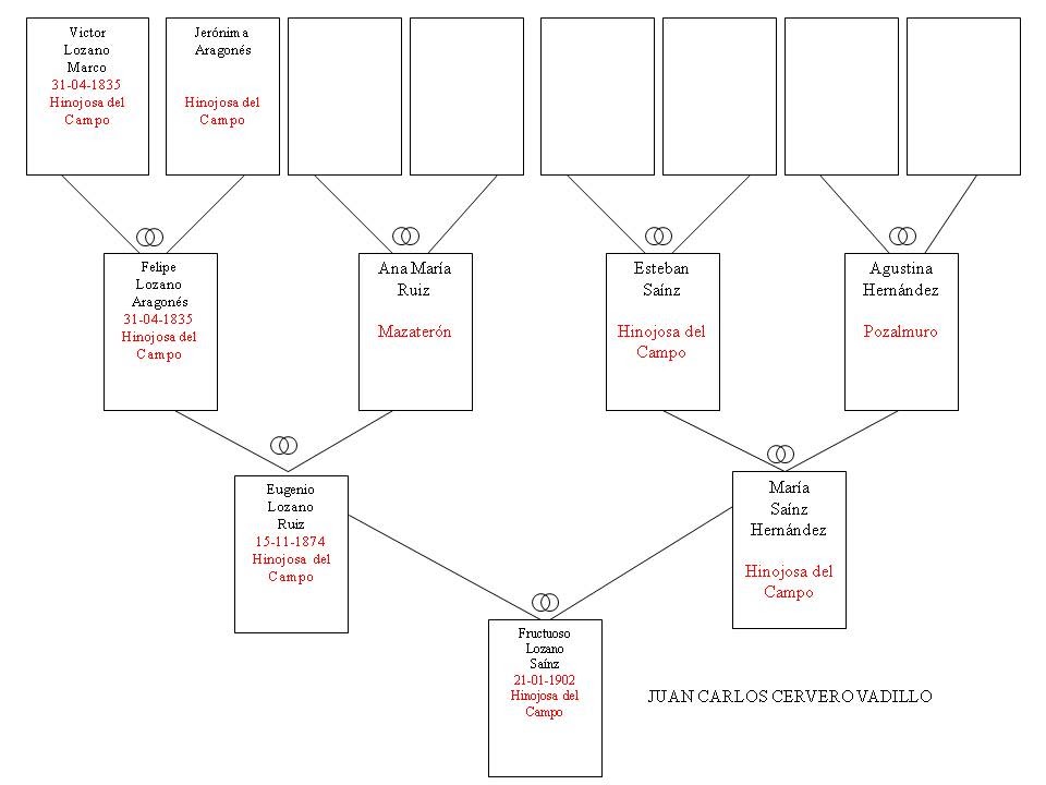 HINOJOSA DEL CAMPO APELLIDO LOZANO