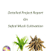 Project Report on  Safed Musli Cultivation