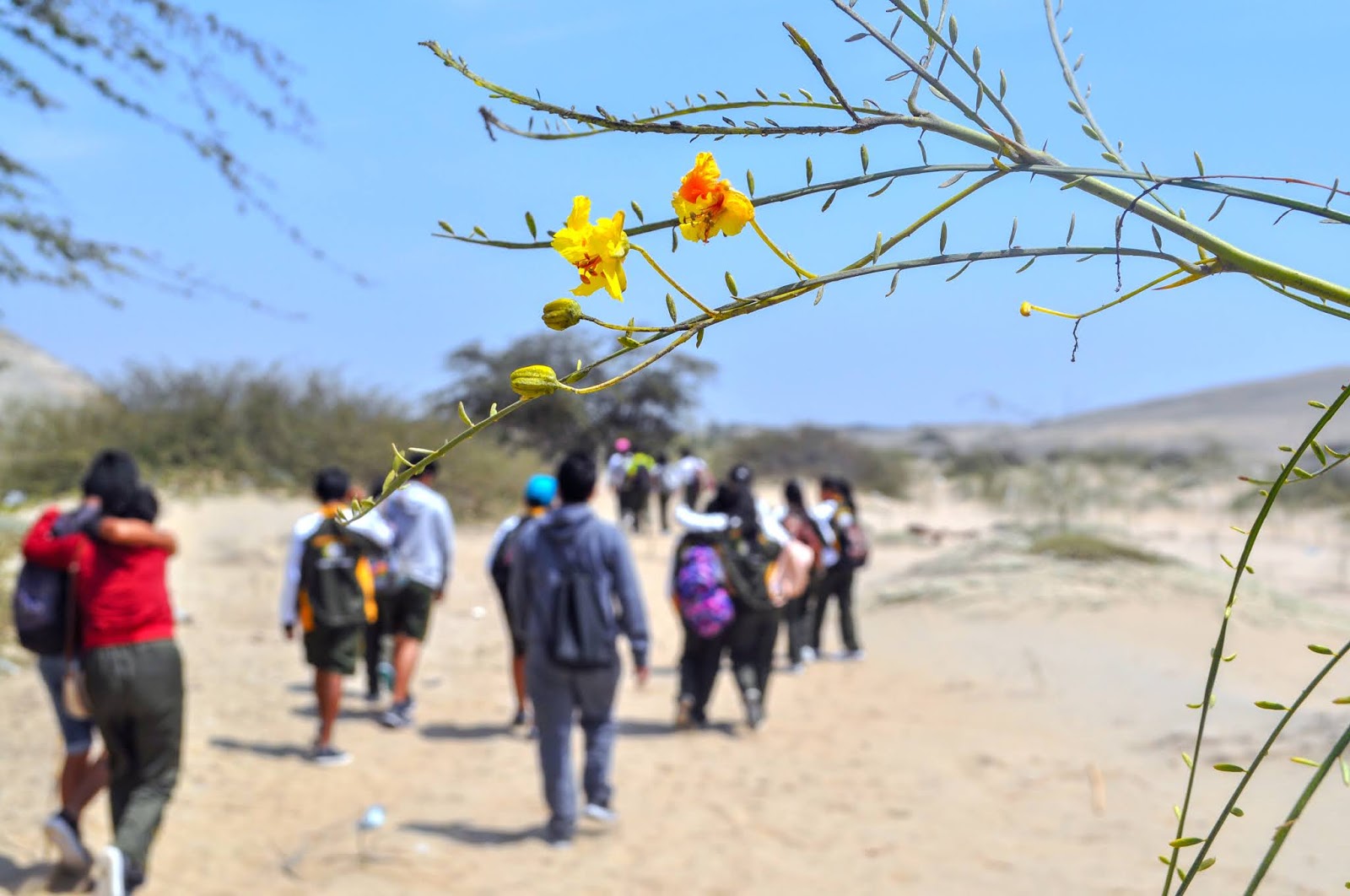 CIUDADANO MUCHIK BIODIVERSIDAD EN REQUE