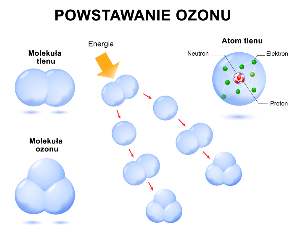ozon заполярный режим работы
