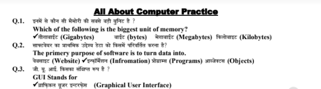 Computer Bilingual MCQ PDF Download