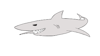 cartoon shark picture