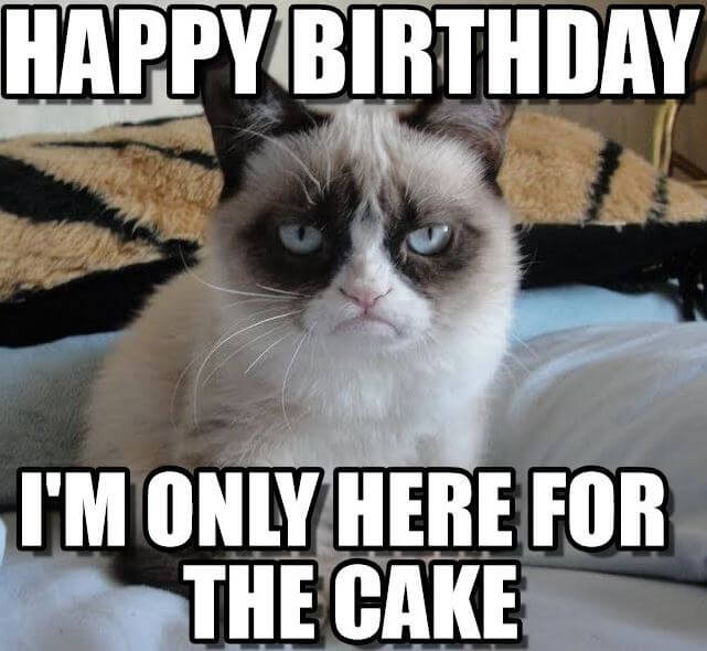 Happy Birthday Meme grumpy cat