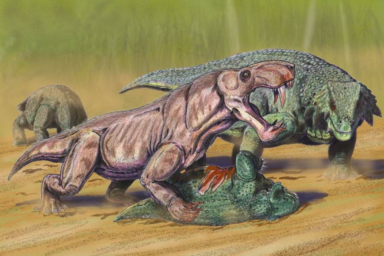 Слово динозавр означает страшный ящер. Горгонопсы иностранцевия. Пермский период горгонопс. Терапсиды Пермского периода. Саблезубая иностранцевия.