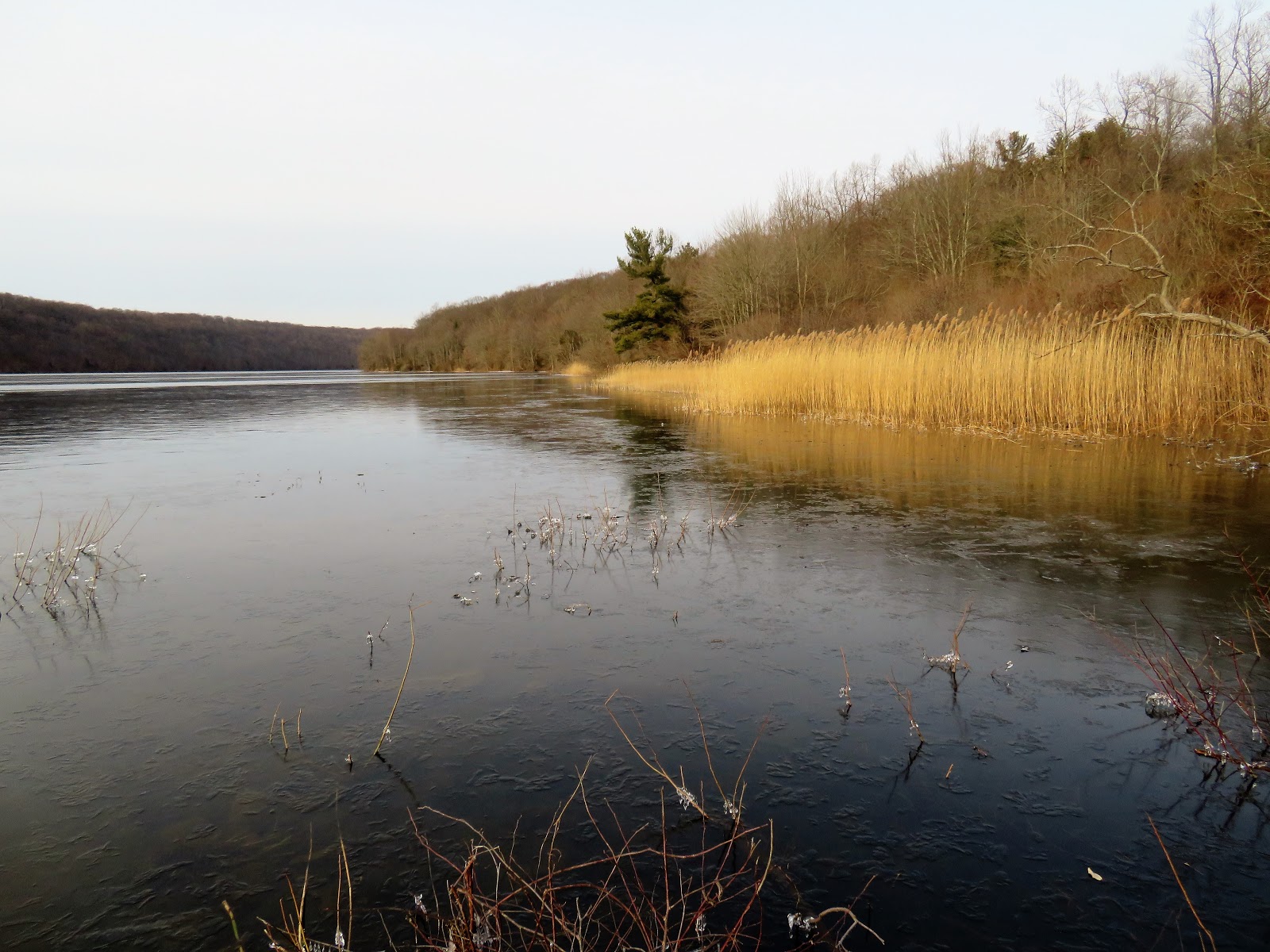 greenmon's folly Feb 10 Lake Saltonstall