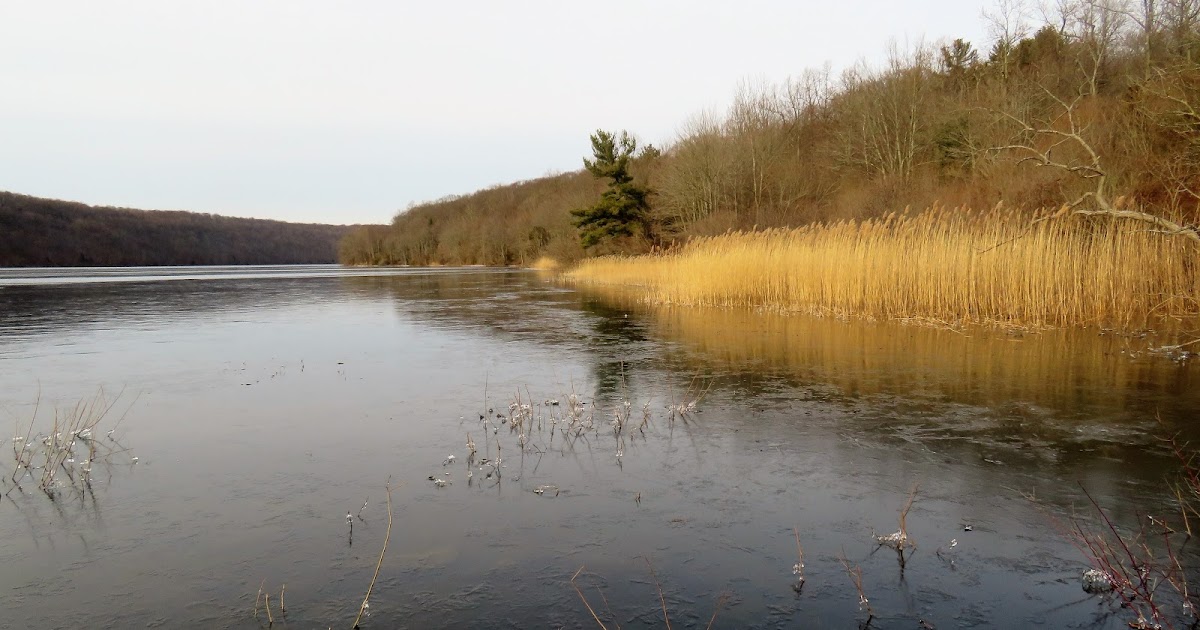 greenmon's folly Feb 10 Lake Saltonstall