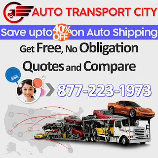 auto transport, auto shipping, auto delivery, auto hauling, auto moving, car transport, car shipping, car delivery, car hauling, car moving, vehicle transport, vehicle shipping, vehicle delivery, vehicle hauling, vehicle moving