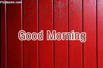 These Best 99+ Good Morning Images will make your day These Best 99+ Good Morning Images will make your day