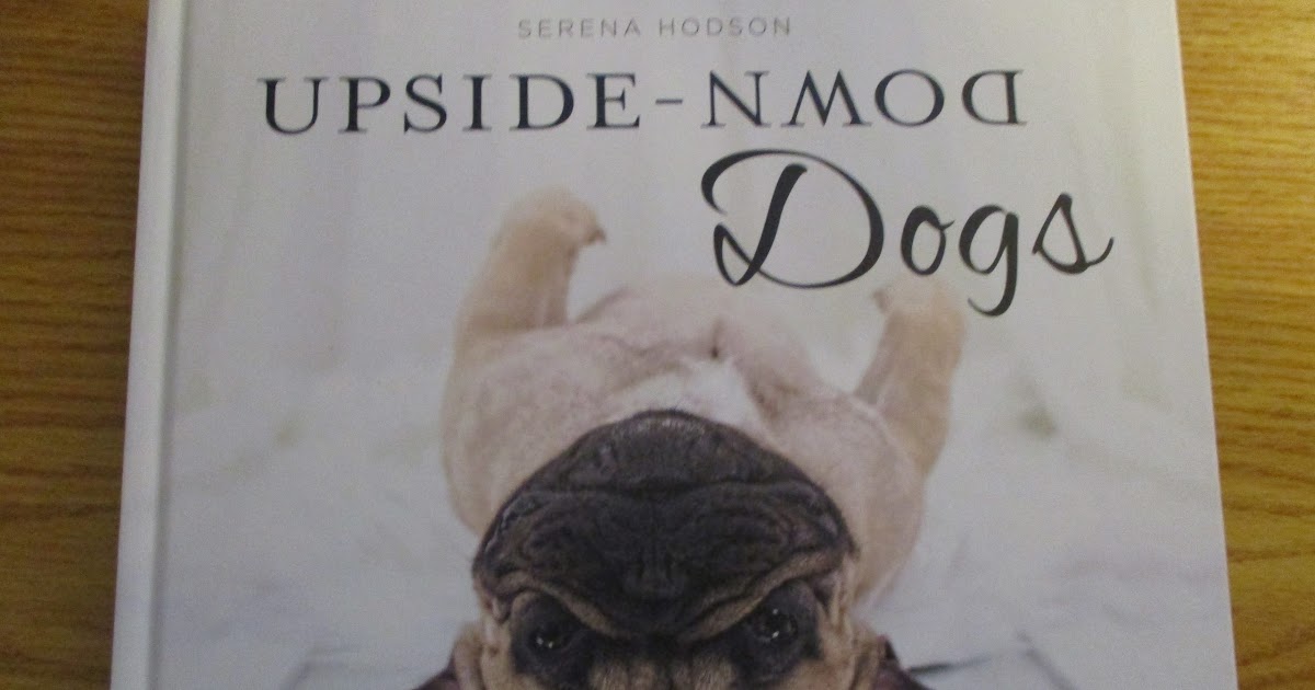Missy's Product Reviews UpsideDown Dogs By Serena Hodson