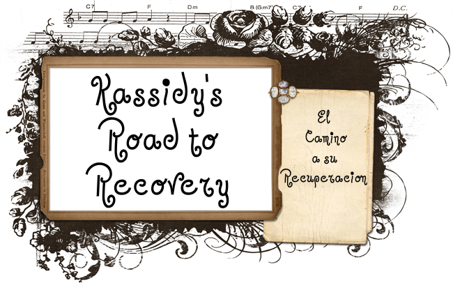 Kassidys Road to Recovery