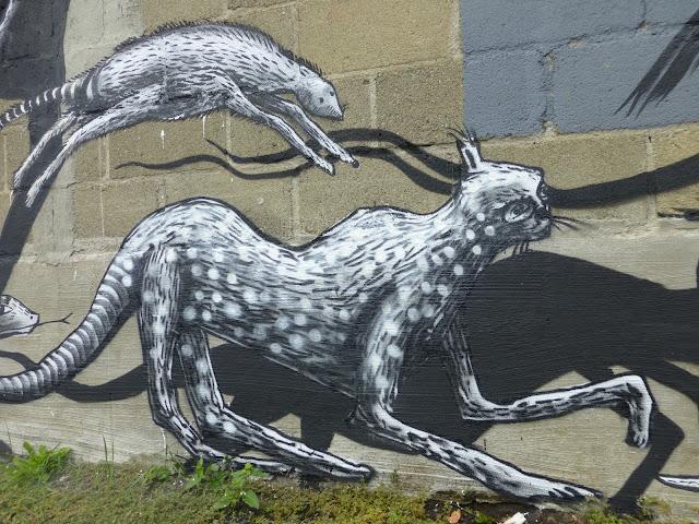 Street Art By British Artist Phlegm On The Streets Of Albany, USA.