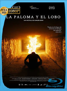La Paloma y el Lobo (2021) HD [1080p] Latino [GoogleDrive] PGD