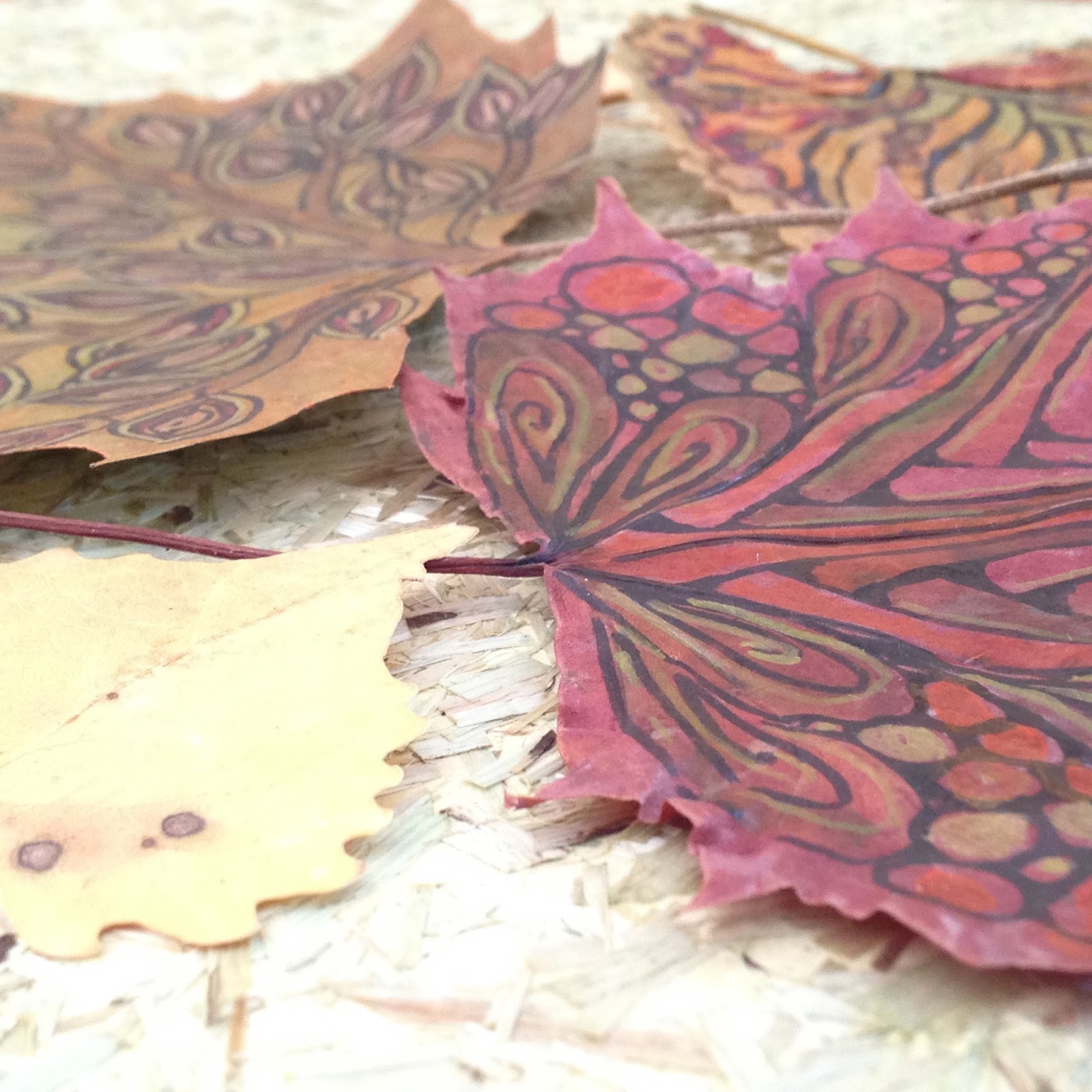 The Art Zenter: LEAVES, LEAVES, BEAUTIFUL LEAVES