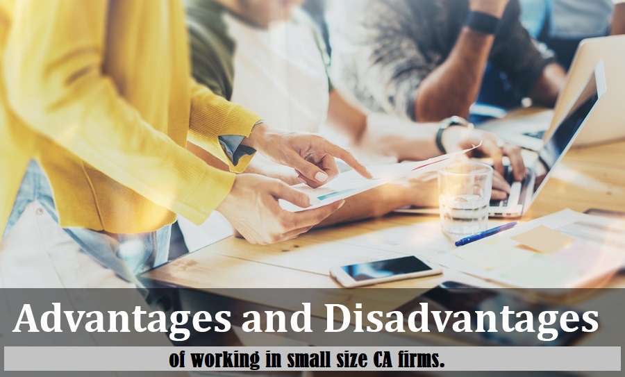 Advantage and Disadvantage of working in small size CA firms.