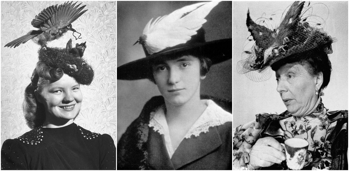 Vintage Portraits of Women Wearing Bird Hats From the Early 20th