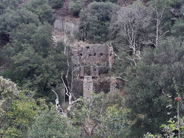 ιστοσελίδες γνωριμιών για τους λάτρεις της άγριας ζωήςσυμπαίκτη με το όνομα μόνο