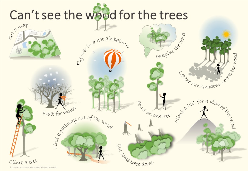 Landscaping Your Life Can't see the Wood for the Trees overview