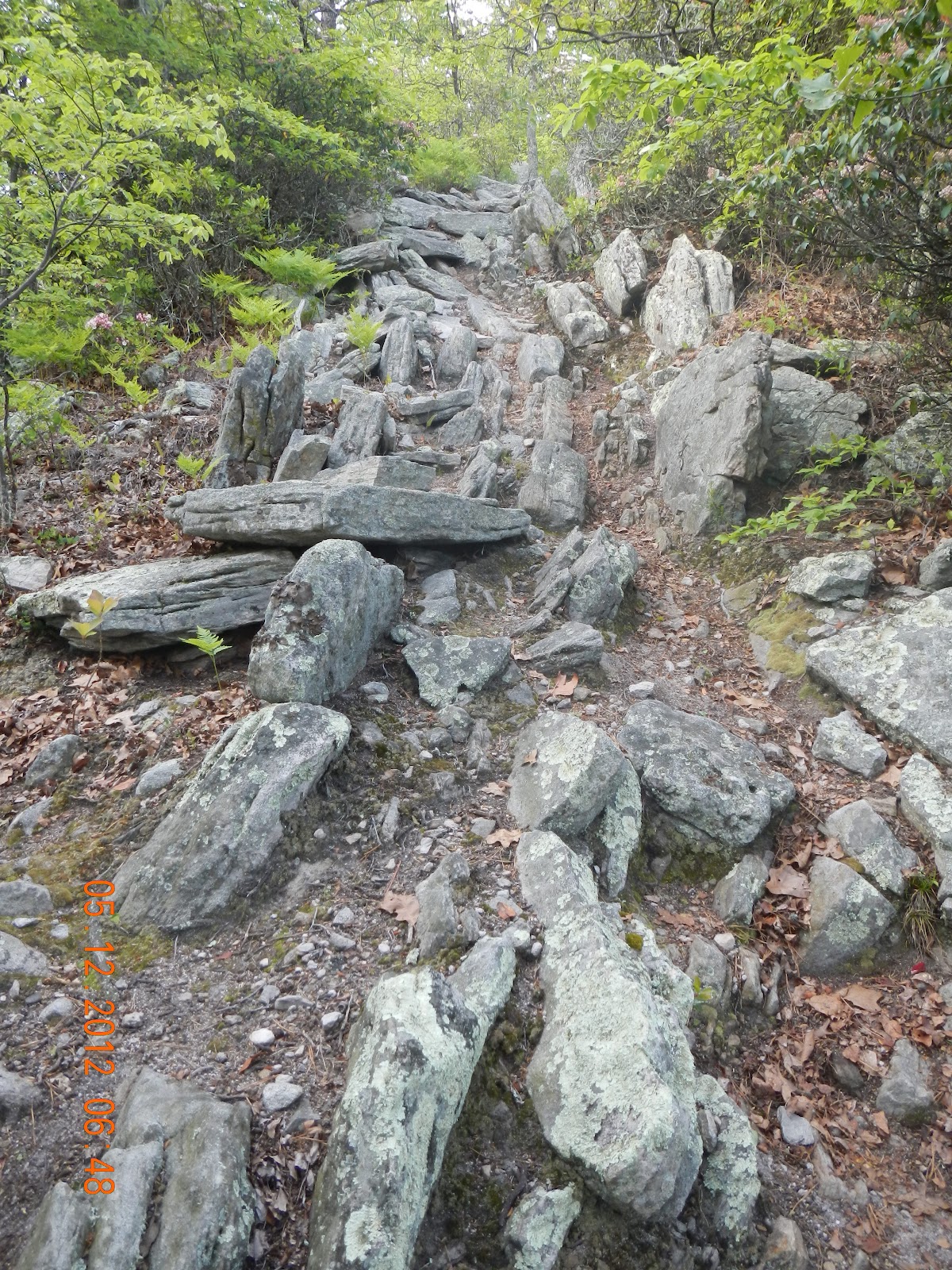 A2 Ultrarunning Massanutten Mountain Trails 100 Mile Run May 1213, 2012