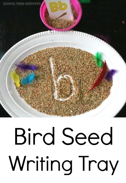 preschool bird theme