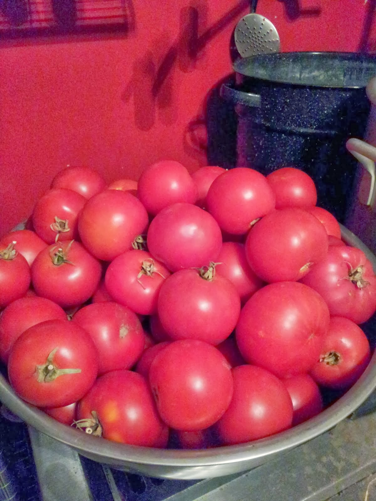 Big Beef tomatoes