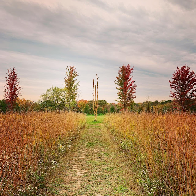 The Grand Opening Of Franconia Commons at Franconia Sculpture Park