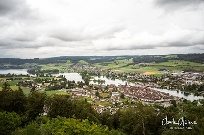 La crème des vins de Thurgovie, le Schlossgut Bachtobel !