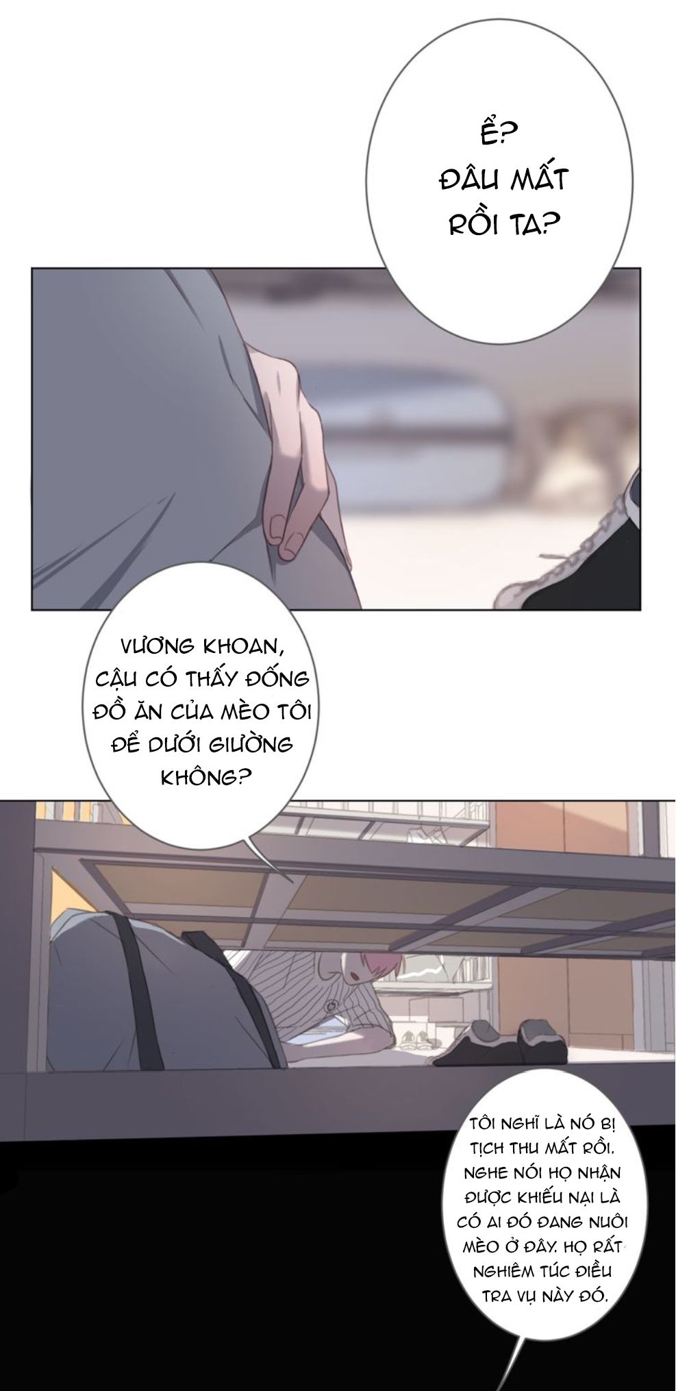 Đọc truyện Thế giới của một chú mèo - Chapter 13