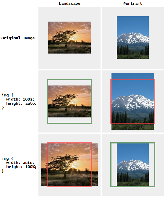 set the width and height of the image with imagemagic set the width and height of the image with imagemagic