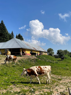 Malga Porta Manazzo