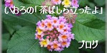 いおろの「茶ばしら立ったよ」