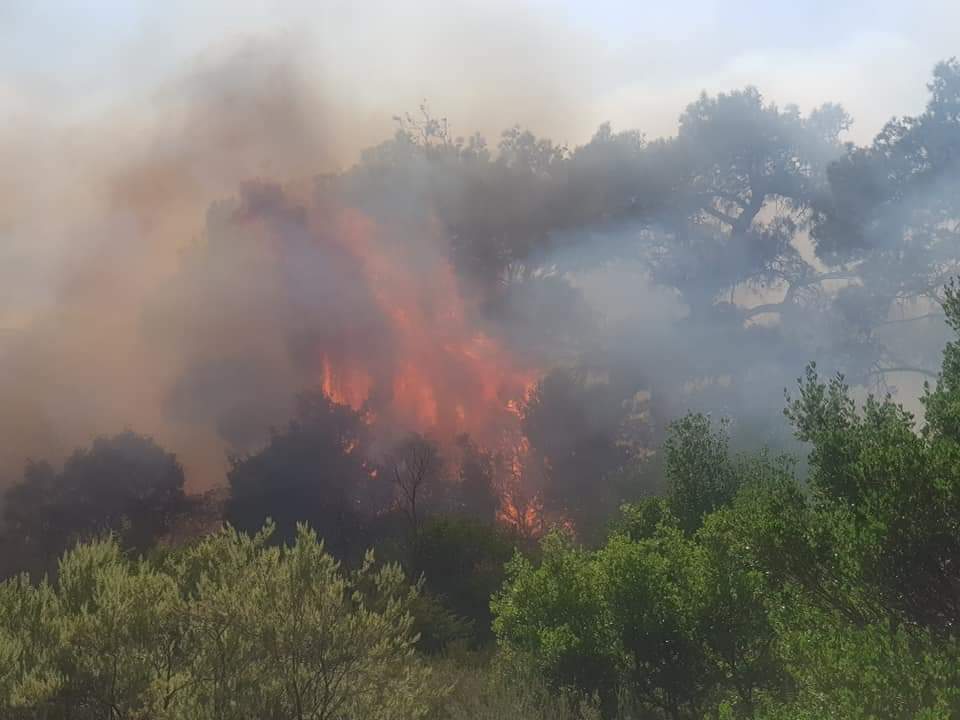 Ολονύχτια μάχη με τις φλόγες στον Έβρο