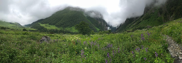 Valley of Flowers - Valley of Flowers is an Indian National Park and a UNESCO World Heritage site. It is known across the world for its plush meadows of endemic alpine flowers. The Valley is home to rare alpine flowers including Bhramakamal, the blue poppy and the cobra lily. Rare and endangered animals including Asiatic black bear, snow leopard, musk deer, brown bear, red fox and blue sheep are inhabitants of this alpine area. High Altitude birds including Himalayan Monal can be seen in this park.