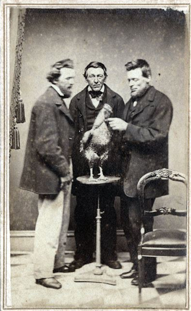 Very Odd And Funny Vintage Photos That Cannot Be Explained Vintage Everyday Very Odd And Funny Vintage Photos That Cannot Be Explained Vintage Everyday
