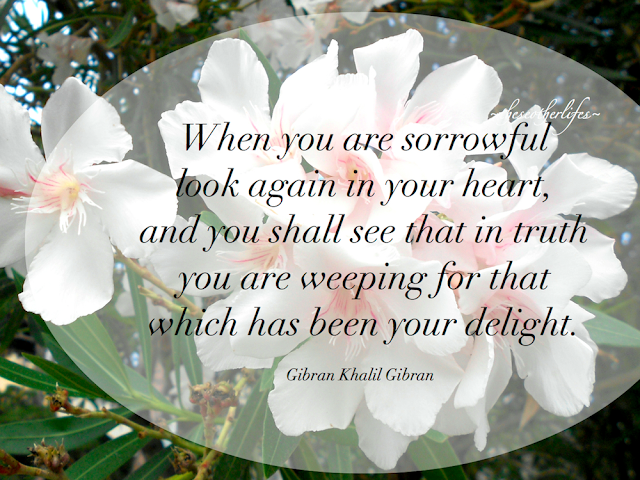 When you are sorrowful look again in your Heart, and you shall see that in truth you are weeping for that which has been your delight. - Khalil Gibran