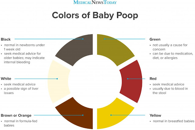 poop color chart - why is my poop green stool colors explained | poop ...