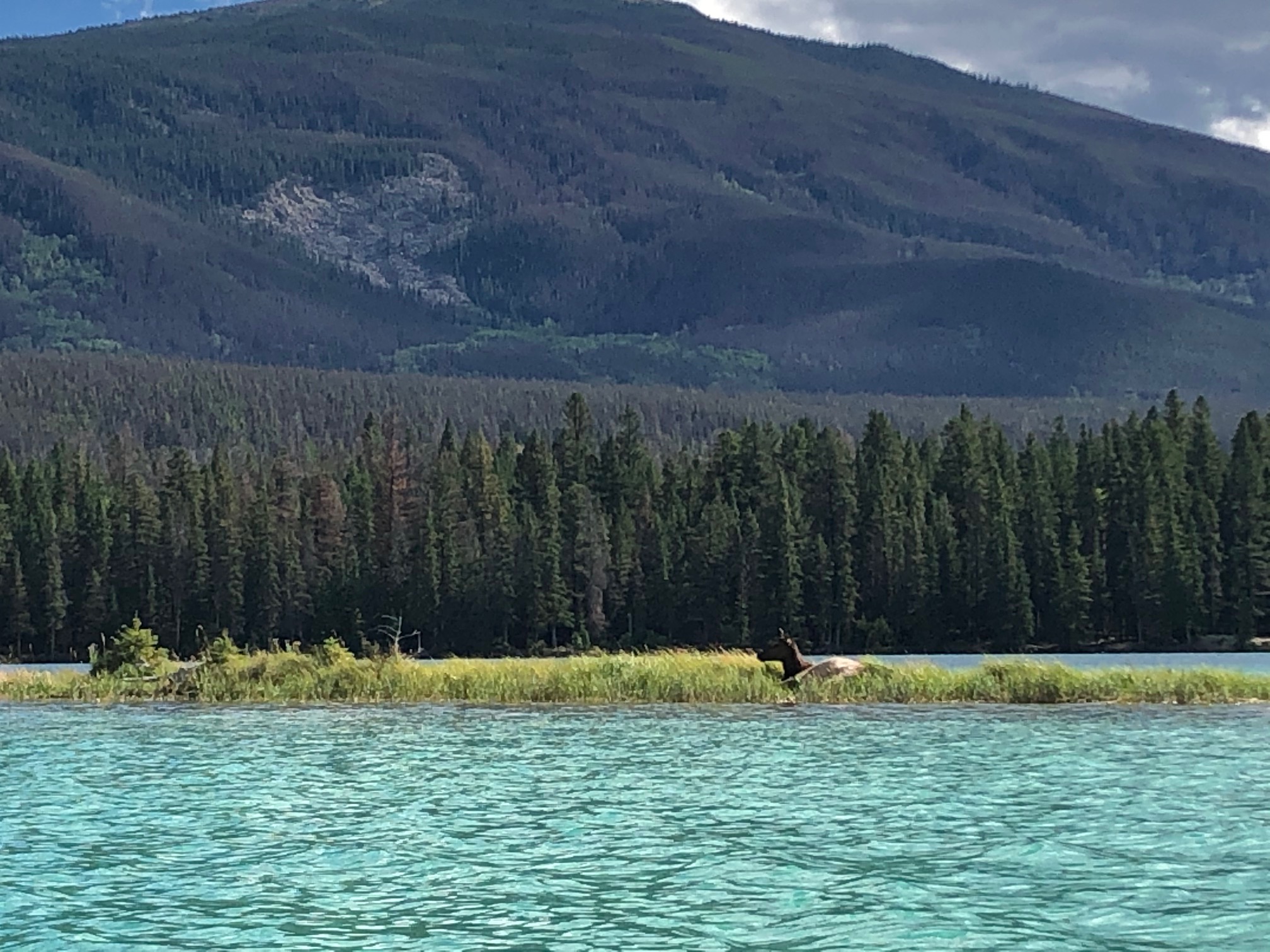 Canoeing Around Edmonton, Alberta, Canada Lake Edith, Jasper