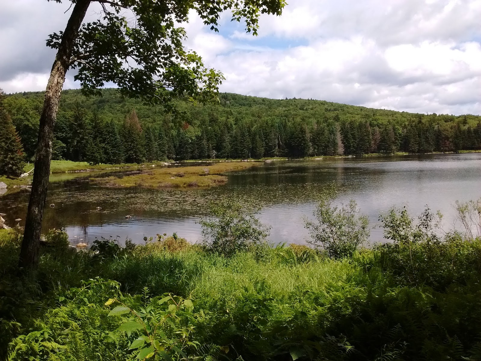 LITTLE POND & PORCUPINE LOOKOUT, Woodford VT.