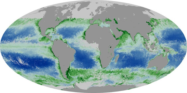 Clorofila en los oceanos y mares