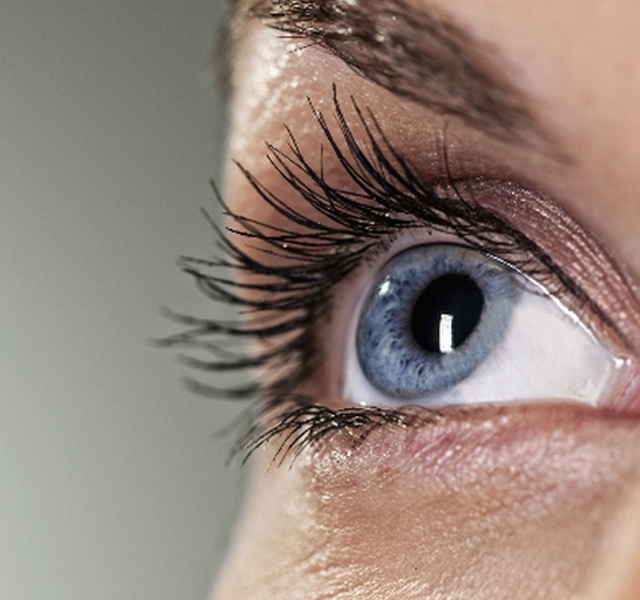 A comprehensive guide on cataract assessment