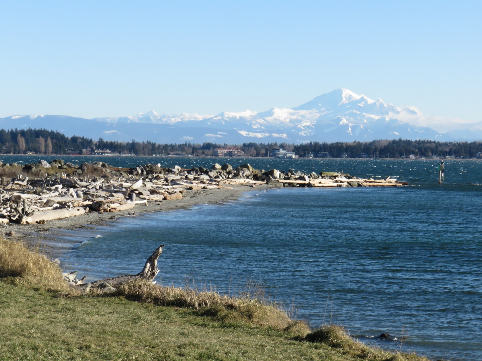 Gravel Beach Birch Bay