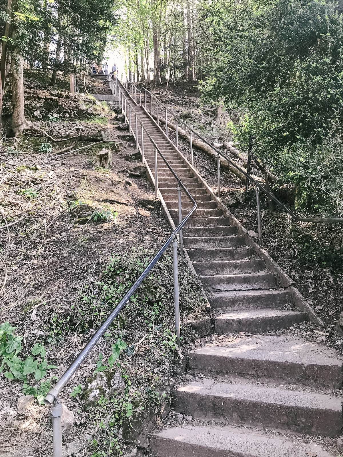 Jacobs Ladder Cheddar Gorge